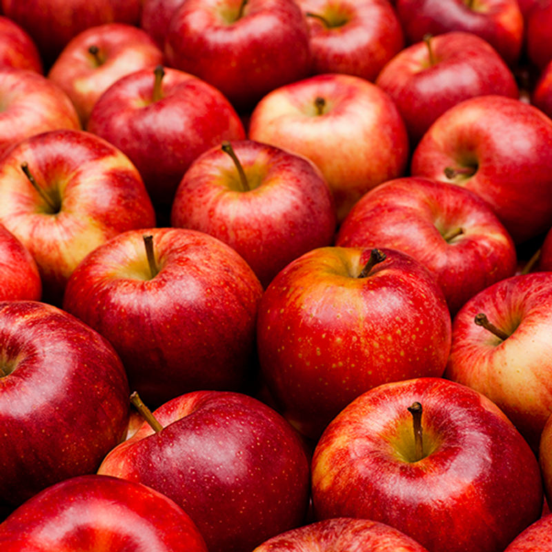 Fresh Chilean apples