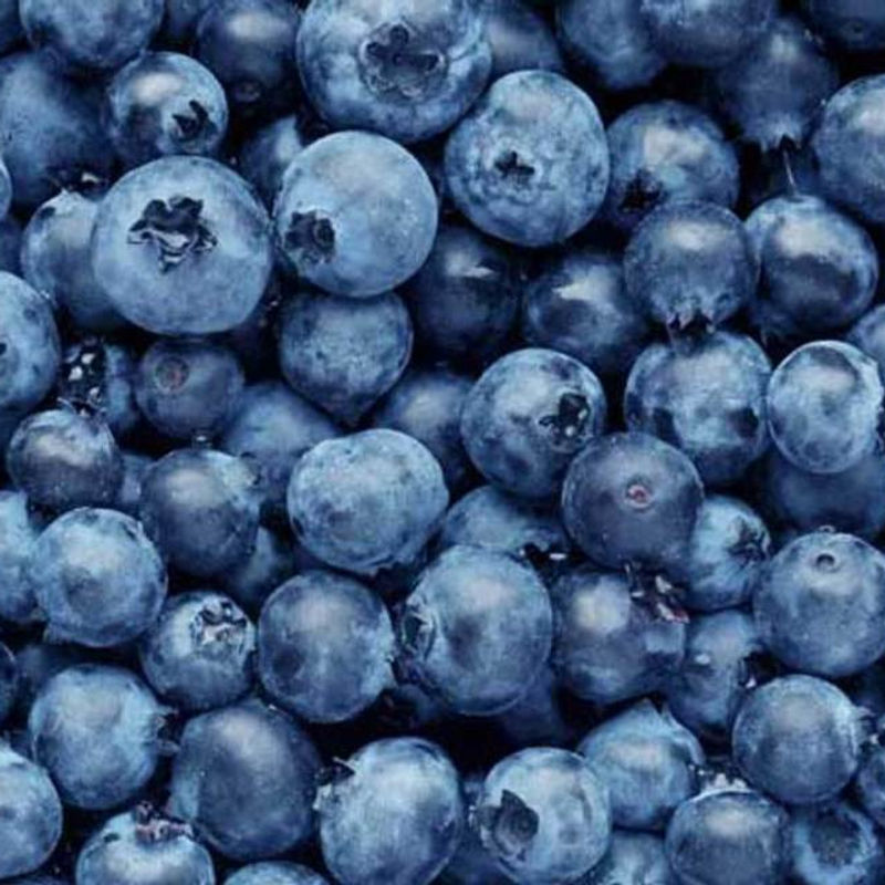 Fresh Chilean blueberries